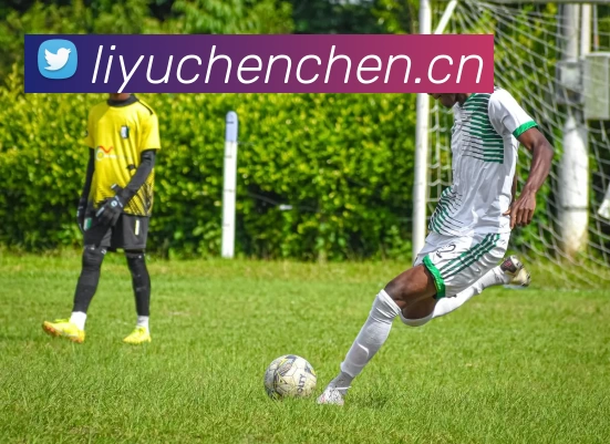 App Interface Preview